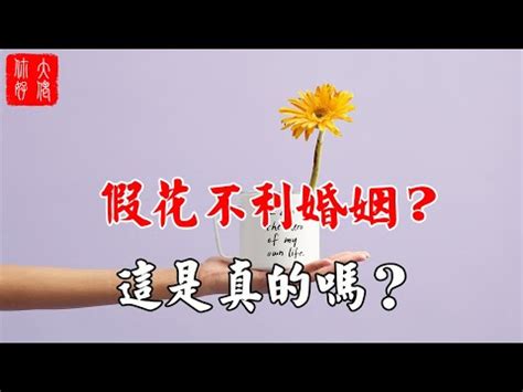 客廳放假花|2024年假花擺放指南